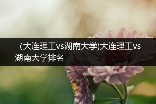 （大连理工vs湖南大学)大连理工vs湖南大学排名