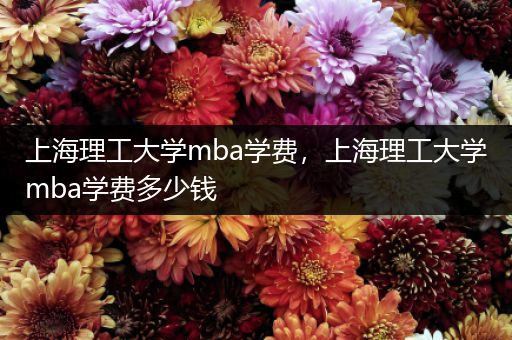 上海理工大学mba学费，上海理工大学mba学费多少钱