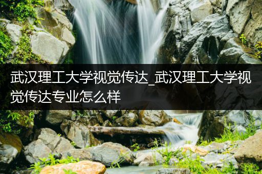 武汉理工大学视觉传达_武汉理工大学视觉传达专业怎么样