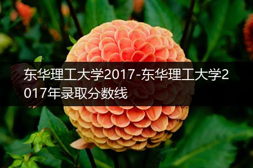东华理工大学2017-东华理工大学2017年录取分数线
