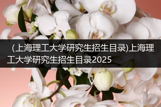 （上海理工大学研究生招生目录)上海理工大学研究生招生目录2025