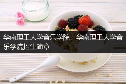 华南理工大学音乐学院，华南理工大学音乐学院招生简章
