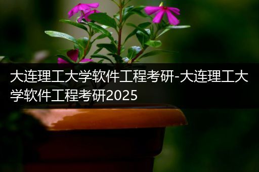 大连理工大学软件工程考研-大连理工大学软件工程考研2025