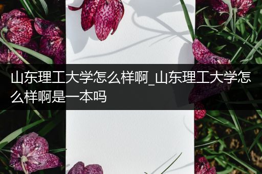 山东理工大学怎么样啊_山东理工大学怎么样啊是一本吗