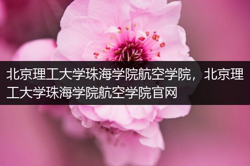 北京理工大学珠海学院航空学院，北京理工大学珠海学院航空学院官网