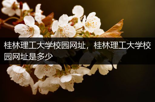 桂林理工大学校园网址，桂林理工大学校园网址是多少
