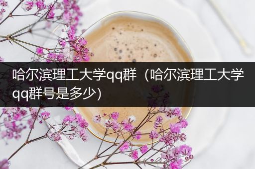 哈尔滨理工大学qq群（哈尔滨理工大学qq群号是多少）
