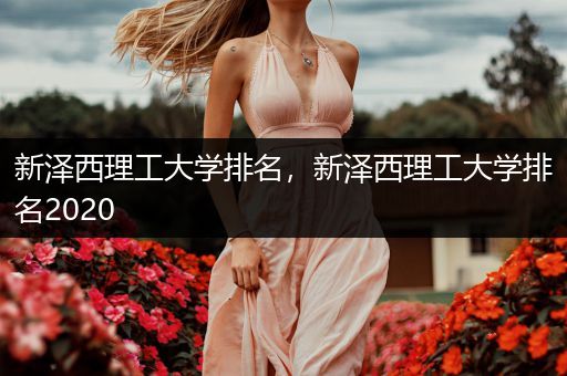 新泽西理工大学排名，新泽西理工大学排名2020