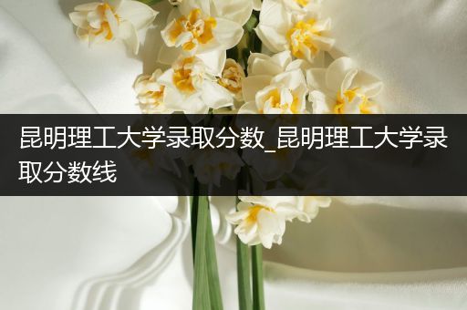 昆明理工大学录取分数_昆明理工大学录取分数线