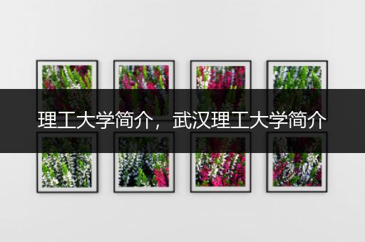 理工大学简介，武汉理工大学简介