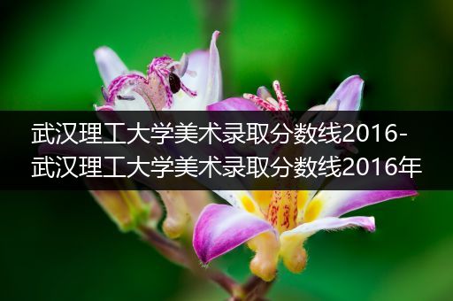 武汉理工大学美术录取分数线2016-武汉理工大学美术录取分数线2016年