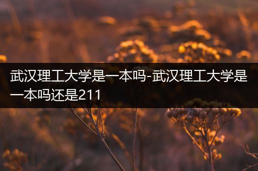 武汉理工大学是一本吗-武汉理工大学是一本吗还是211