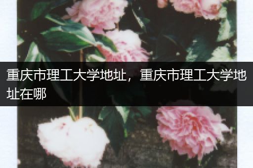 重庆市理工大学地址，重庆市理工大学地址在哪