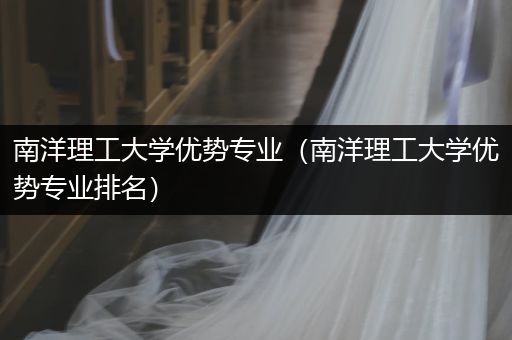 南洋理工大学优势专业（南洋理工大学优势专业排名）