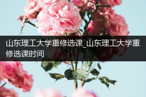 山东理工大学重修选课_山东理工大学重修选课时间