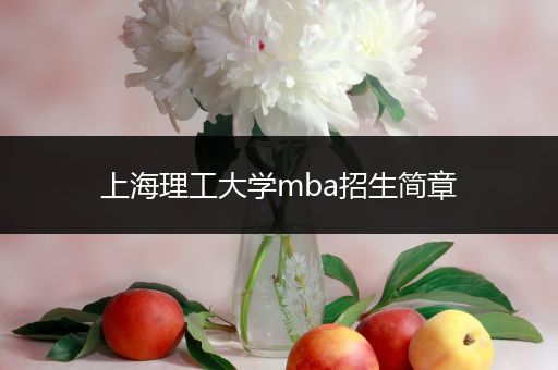 上海理工大学mba招生简章