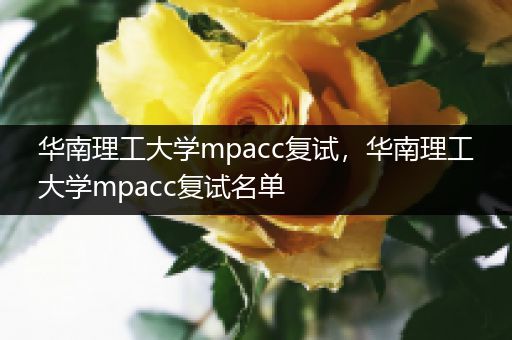 华南理工大学mpacc复试，华南理工大学mpacc复试名单