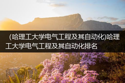 （哈理工大学电气工程及其自动化)哈理工大学电气工程及其自动化排名