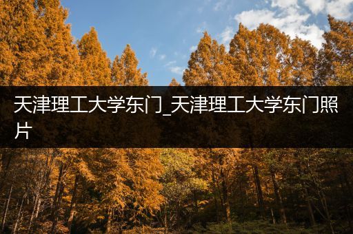 天津理工大学东门_天津理工大学东门照片
