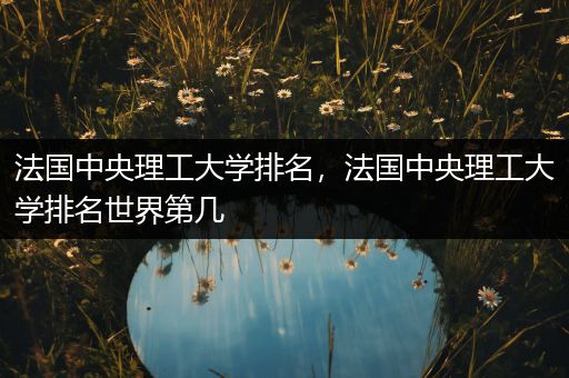 法国中央理工大学排名，法国中央理工大学排名世界第几